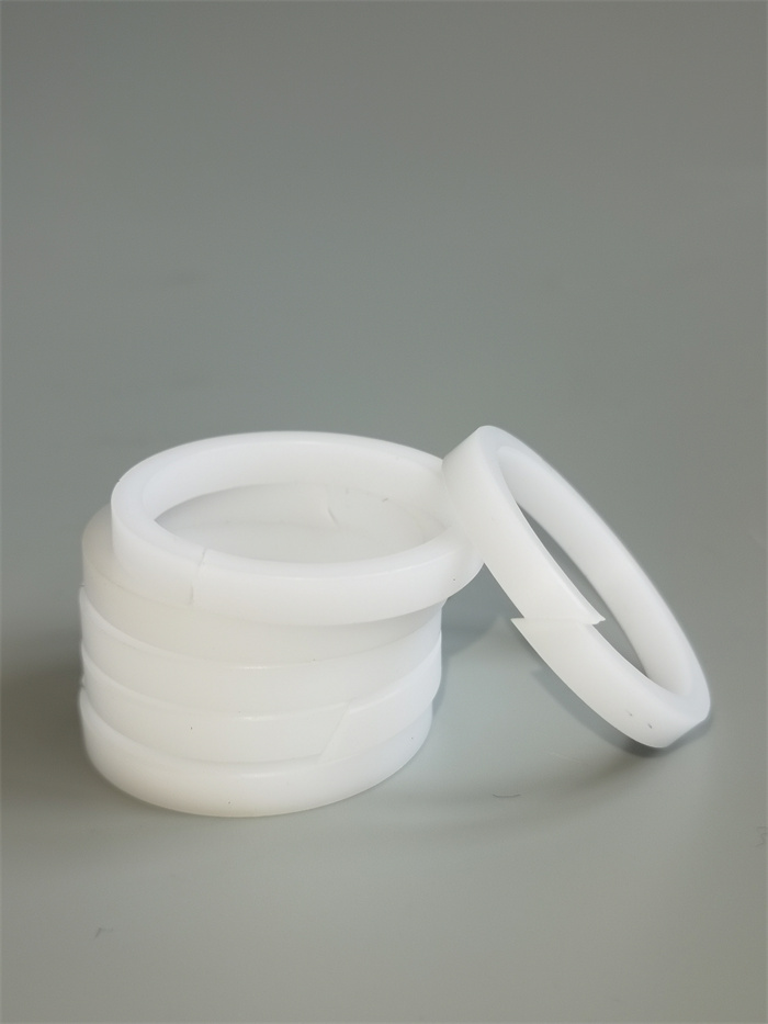 C1000 導(dǎo)向環(huán).jpg