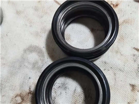 國內(nèi)外氮?dú)饽＞呔S修、檢測